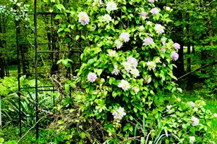 4996 Andrew Rd, Marion, IL 62959 - Photo 74