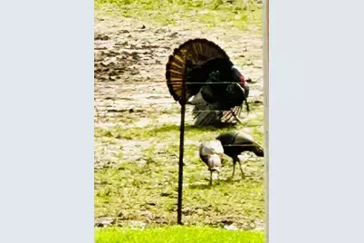 4996 Andrew Road, Marion, IL 62959 - Photo 76