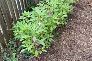 425 S Quincy Ave, Hinsdale, IL 60521 - Photo 50