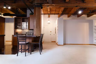 540 N Lake Shore Drive #408-409, Chicago, IL 60611 - Photo 8