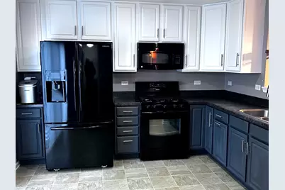 534 Richard Brown Boulevard, Volo, IL 60073 - Photo 4