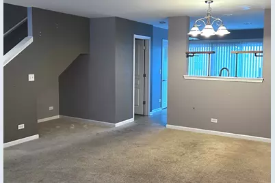 534 Richard Brown Boulevard, Volo, IL 60073 - Photo 6