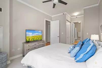 170 W Polk Street #1308, Chicago, IL 60605 - Photo 28