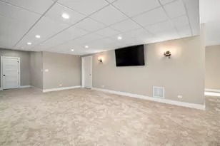 26411 W Stephanie Dr, Channahon, IL 60410 - Photo 18