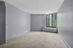 155 N Harbor Dr, Chicago, IL 60601 - Photo 18