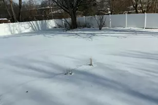 9205 S 84th Ct, Hickory Hills, IL 60457 - Photo 12