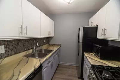 9958 S 84th Terrace #306, Palos Hills, IL 60465 - Photo 8