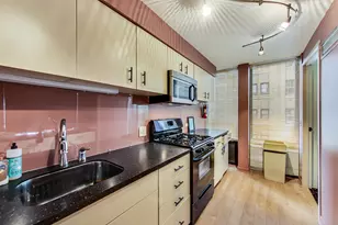 1230 N State Pkwy, Chicago, IL 60610 - Photo 28