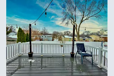 1117 E Pratt Drive, Palatine, IL 60074 - Photo 56