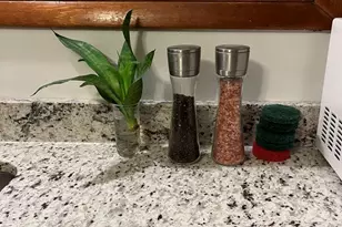 13515 S Baltimore Ave, Chicago, IL 60633 - Photo 8