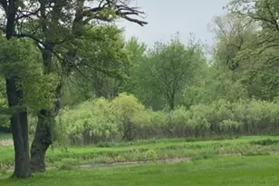 1275 Country Club Rd, Lake Zurich, IL 60047 - Photo 40