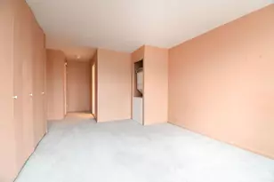 1560 N Sandburg Terrace, Chicago, IL 60610 - Photo 30