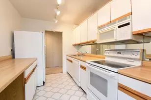 1560 N Sandburg Terrace, Chicago, IL 60610 - Photo 16