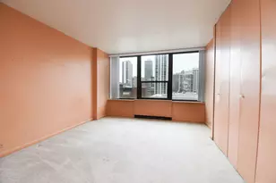 1560 N Sandburg Terrace, Chicago, IL 60610 - Photo 26