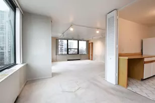 1560 N Sandburg Terrace, Chicago, IL 60610 - Photo 14