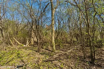 1630 Myrtle  Park Street, Roselle, IL 60172 - Photo 4