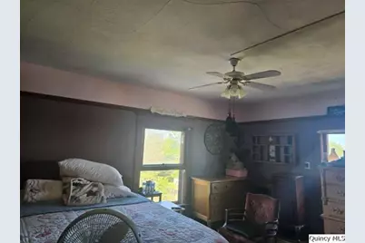 390 W 4th Street, Dallas City, IL 62330 - Photo 12