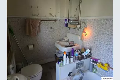 390 W 4th Street, Dallas City, IL 62330 - Photo 18