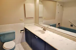 10116 Peach Pkwy, Skokie, IL 60076 - Photo 16