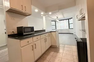 535 N Michigan Ave, Chicago, IL 60611 - Photo 6