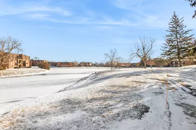 112 Mullingar Court #1C, Schaumburg, IL 60193 - Photo 20