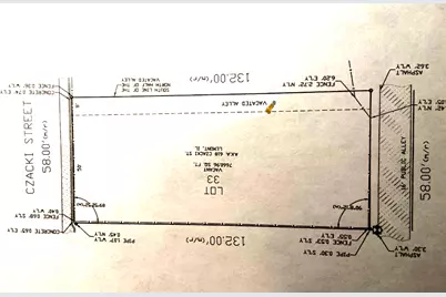 614 Czacki Street, Lemont, IL 60439 - Photo 4