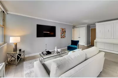 40 E Cedar Street #18B, Chicago, IL 60611 - Photo 10