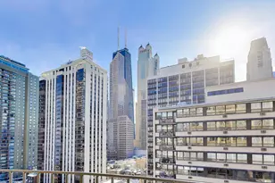 40 E Cedar St, Chicago, IL 60611 - Photo 20