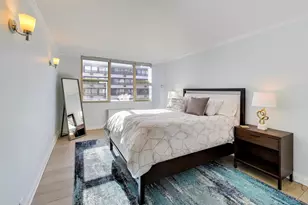 40 E Cedar St, Chicago, IL 60611 - Photo 14