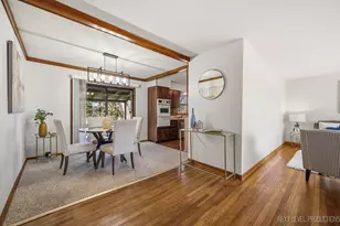 906 Carol Ave, Elgin, IL 60123 - Photo 4