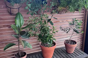 6813 S Keeler Ave, Chicago, IL 60629 - Photo 38