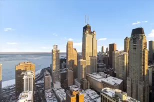 1030 N State St, Chicago, IL 60610 - Photo 26