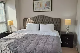 30 E Huron St, Chicago, IL 60611 - Photo 10