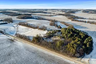 4092 W Pond Rd, Leaf River, IL 61047 - Photo 4