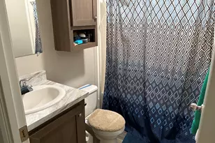 602 Virginia Ave, Lynwood, IL 60411 - Photo 22