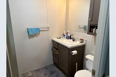 602 Virginia Avenue, Lynwood, IL 60411 - Photo 18