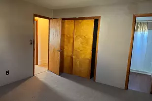 15 Pecan St, Alto Pass, IL 62905 - Photo 14