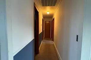 15 Pecan St, Alto Pass, IL 62905 - Photo 12