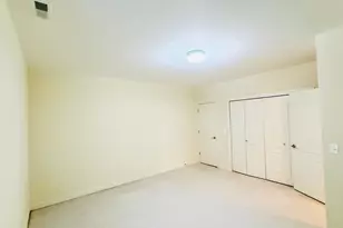 4166 S Emerald St, Chicago, IL 60609 - Photo 28