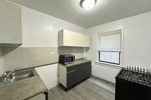 7147 S Constance Ave, Chicago, IL 60649 - Photo 2