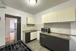 7147 S Constance Ave, Chicago, IL 60649 - Photo 4