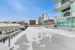 50 E 16th St, Chicago, IL 60616 - Photo 24