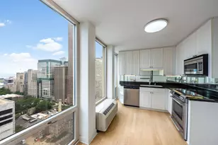 111 E Chestnut St, Chicago, IL 60611 - Photo 10