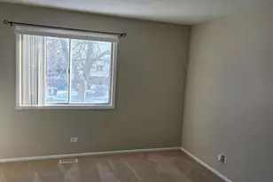 209 Mill Stream Dr, Bolingbrook, IL 60440 - Photo 12