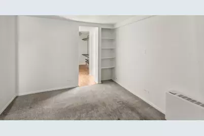 21 W Goethe Street #17K, Chicago, IL 60610 - Photo 10