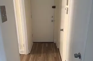 7363 S South Shore Dr, Chicago, IL 60649 - Photo 2