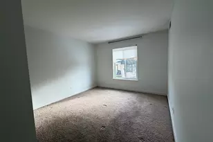 10735 5th Ave Cutoff, Countryside, IL 60525 - Photo 10