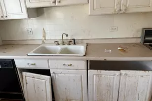 20048 Monterey Ave, Lynwood, IL 60411 - Photo 4