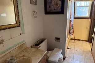 20048 Monterey Ave, Lynwood, IL 60411 - Photo 10