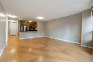 30 E Huron St, Chicago, IL 60611 - Photo 14